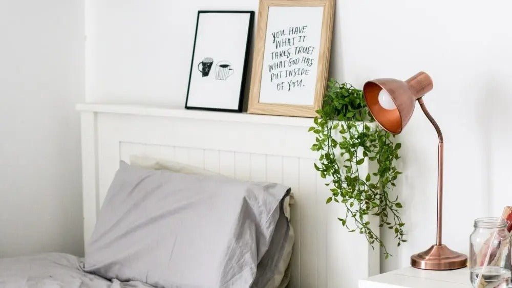 Top 5: Best Plants For Your Bedroom - Online Bedrooms